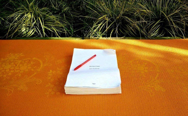 Yes, those holes in the Yoga mat were caused by a no-good cat.