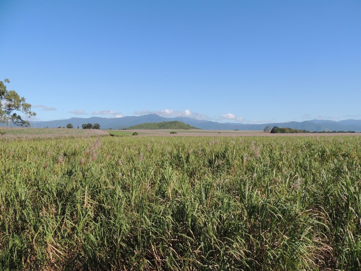 RUC view from the writer's nook