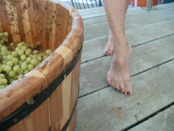 stomping grapes