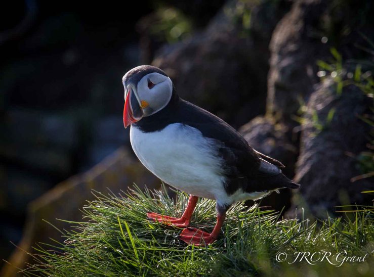 Photo by Meticulous Mick (aka John Grant)