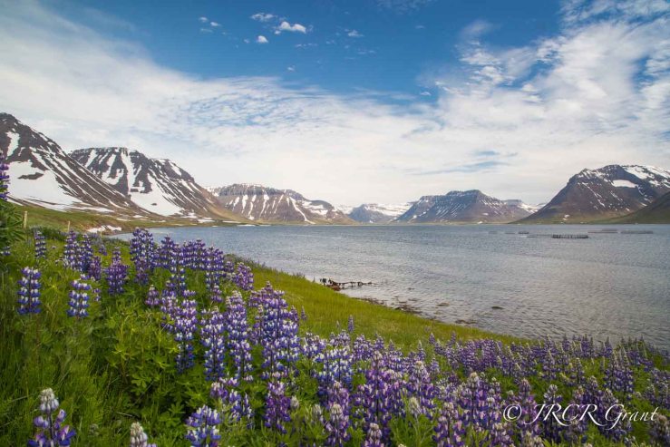 Photo by Meticulous Mick (aka John Grant)