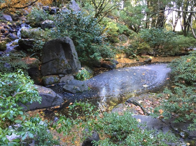 portland japanese garden pond