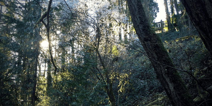 springtime in portland