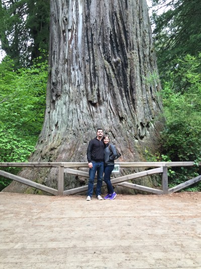 redwood national park