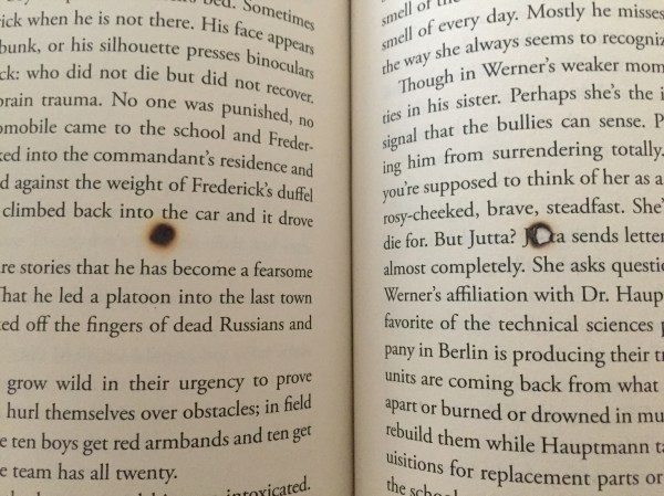 burned book