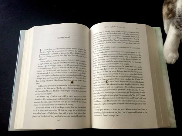 cigarette burn in book