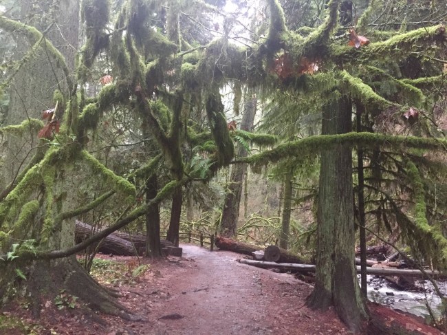 lower macleay hiking