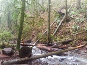 winter hiking in portland