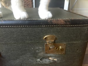 old suitcase