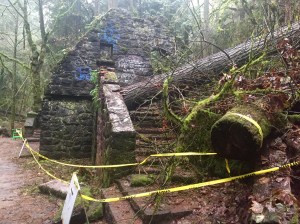tree damage stone house