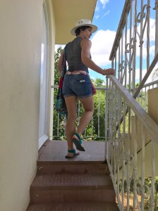 walking around gellhorn's house