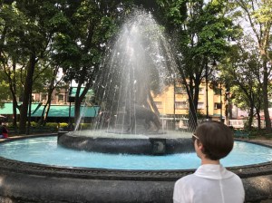 fountain in coyoacan