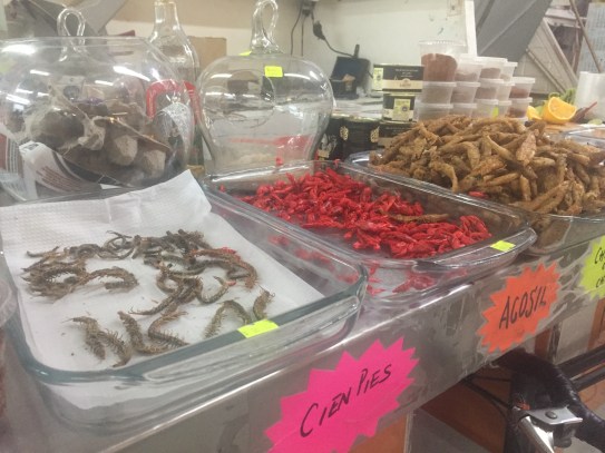 eating bugs in mexico city