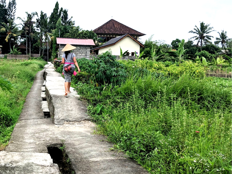 balinese woman offering