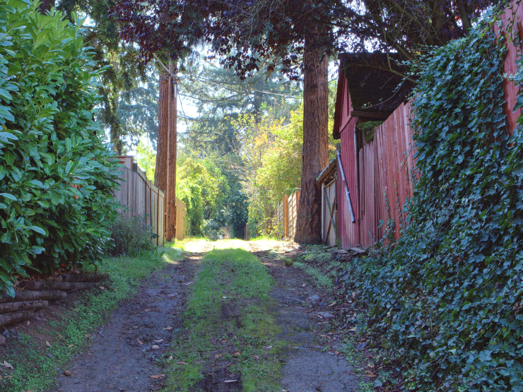 if i waited for perfection