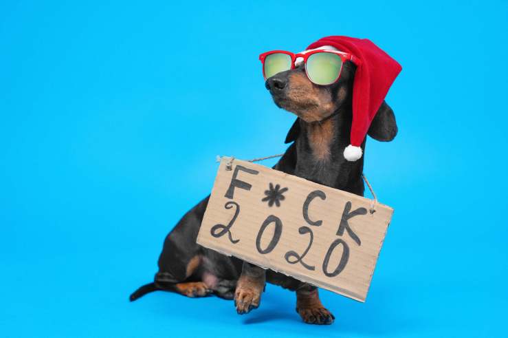 goodbye 2020